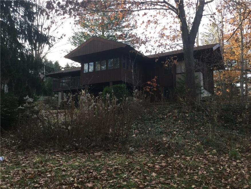 From back yard