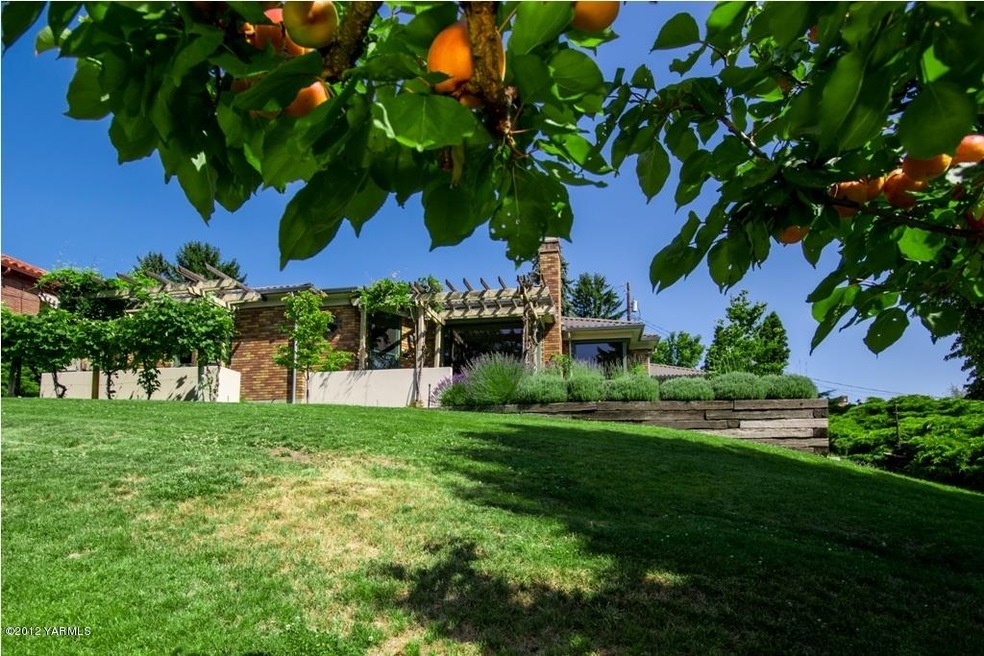 Fruit Trees from Bottom of Front Yard