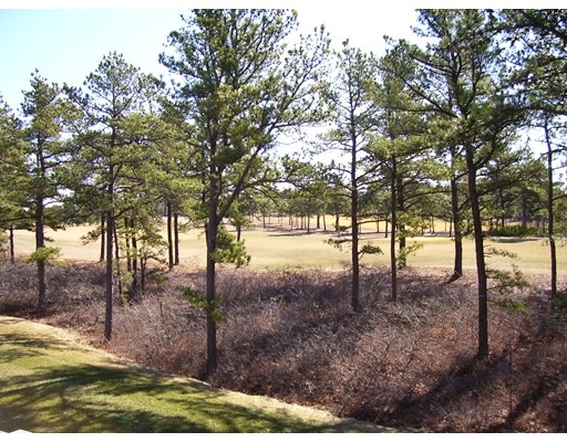 90 Benjamins Gate unit 90, Plymouth, MA 02360 - photo 1