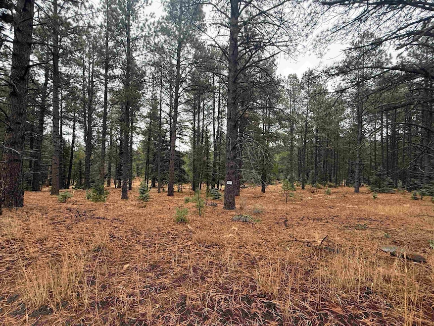 Lot 37 Valle Grande Trail, Angel Fire, NM 87710 - photo 1