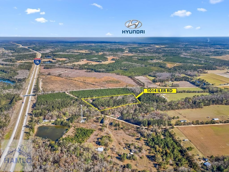 1014 Iler Rd, Pembroke, GA 31321 - photo 1