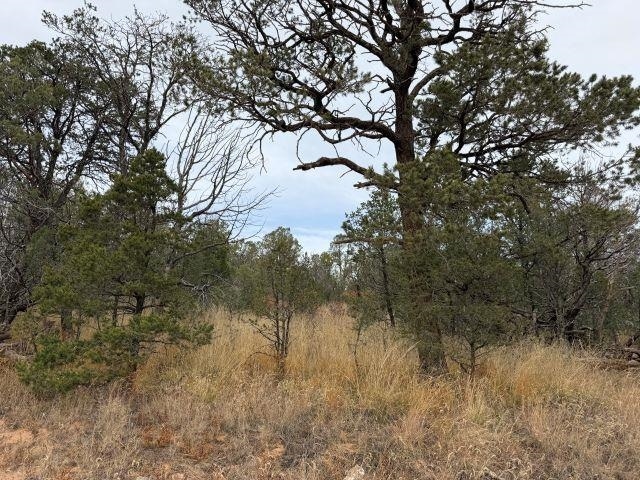 0 Palomino Dr unit 11, Timberon, NM 88350 - photo 1