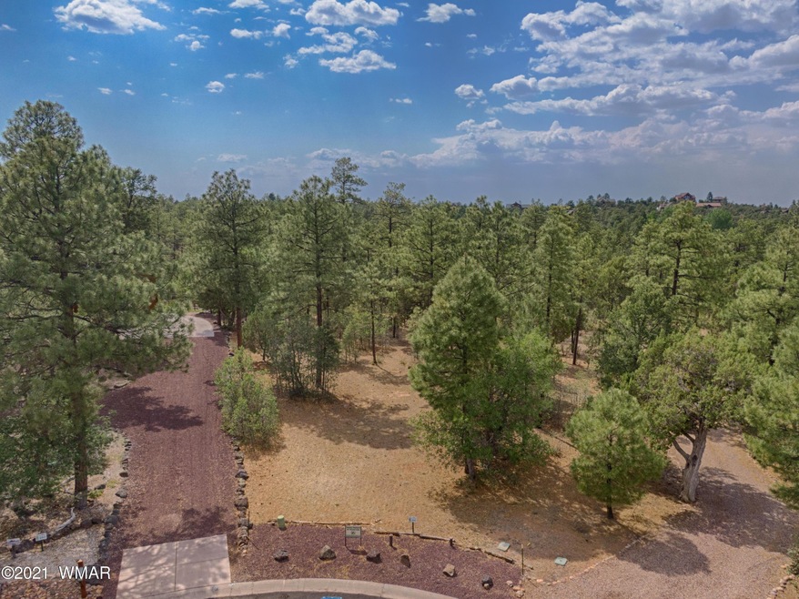 DJI_0102_HDR
