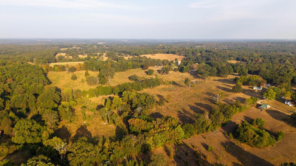 Tbd Bamber St, Mammoth Spring, AR 72554 - photo 1