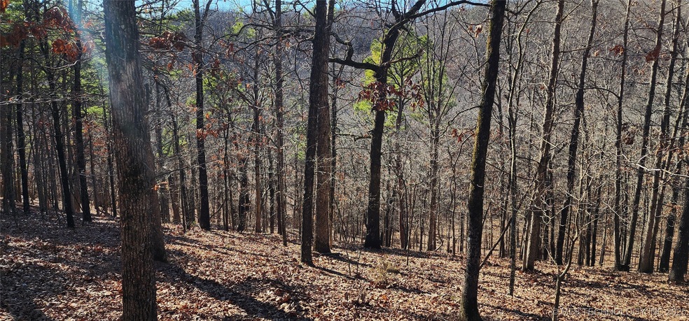 Here it is!  Enjoy watching the local deer frolic