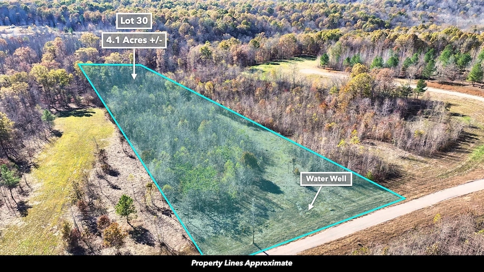 0 Freedom Ridge unit RTC2914392, Indian Mound, TN 37079 - photo 1