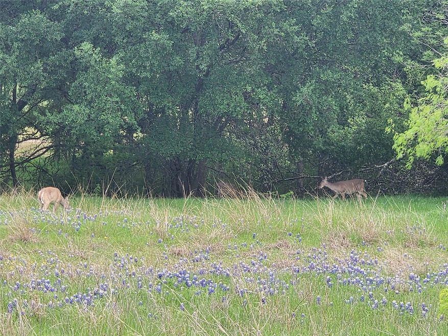 15064 Golf Dr, Whitney, TX 76692 - photo 1