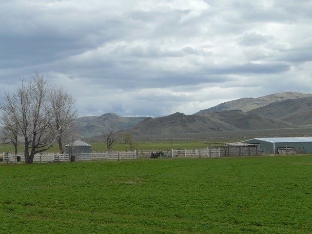 Main View