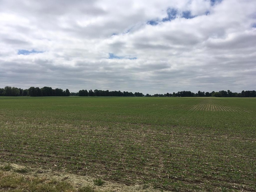 3581 Lower Leesville Rd, Bucyrus, OH 44820 - photo 1