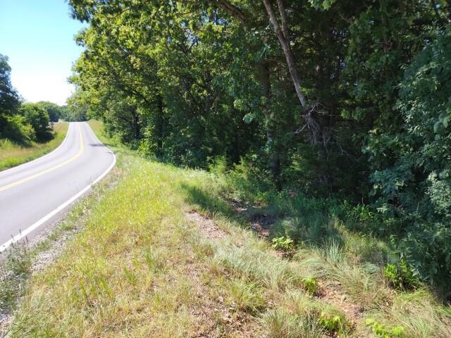 439 State Highway Oo, Reeds Spring, MO 65737 - photo 1