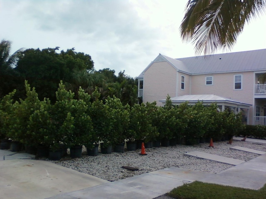 Located in the Sanctuary at Hawks Cay