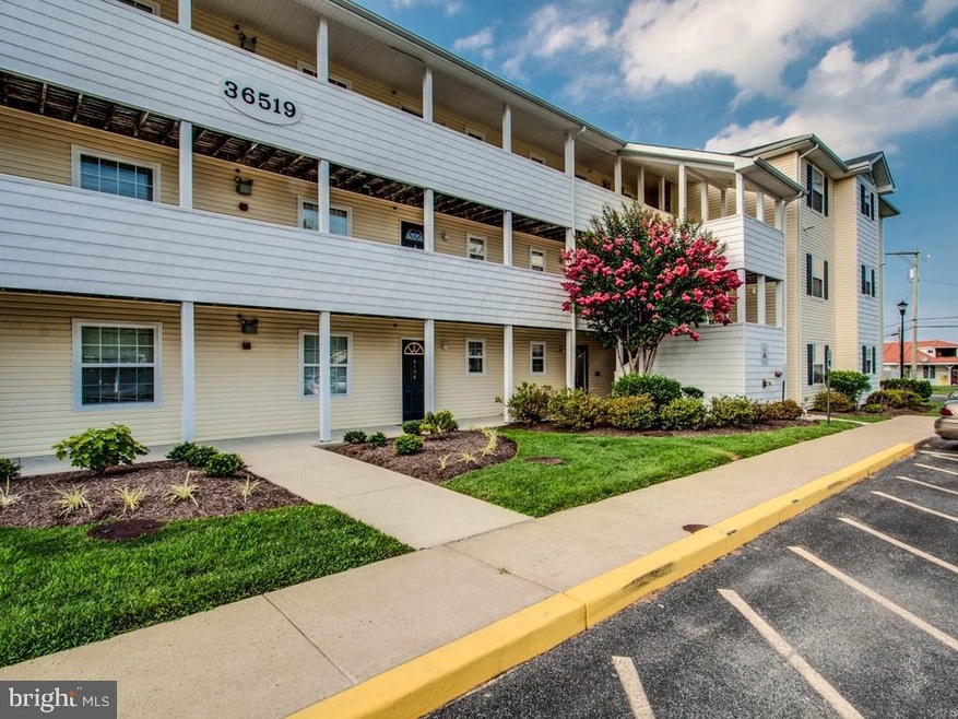 36519 Palm Dr, Rehoboth Beach, DE 19971 - photo 1