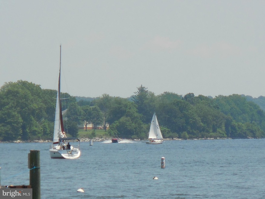 315 Red Head Way unit D, Havre de Grace, MD 21078 - photo 1