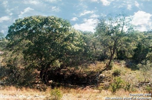 0 Bluehill Pass, Helotes, TX 78023 - photo 1