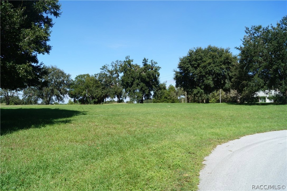 825 E Dakota Ct, Hernando, FL 34442 - photo 1