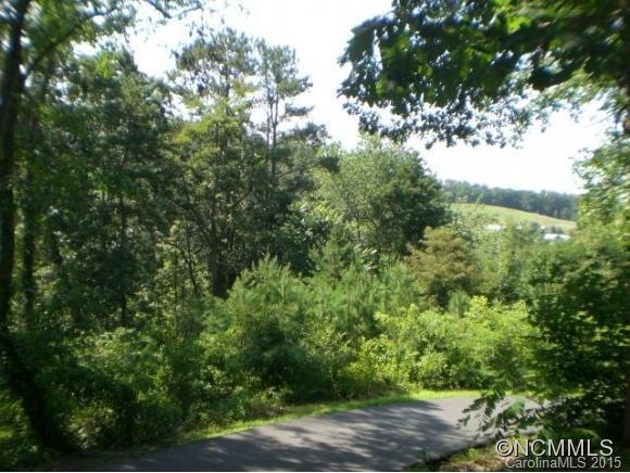 22 Goughes Branch Rd, Leicester, NC 28748 - photo 1