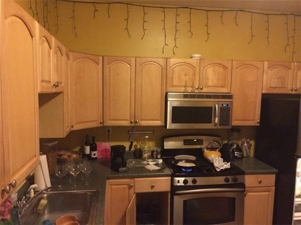 21 Park Vale Ave unit 12, Allston, MA 02134 - photo 1