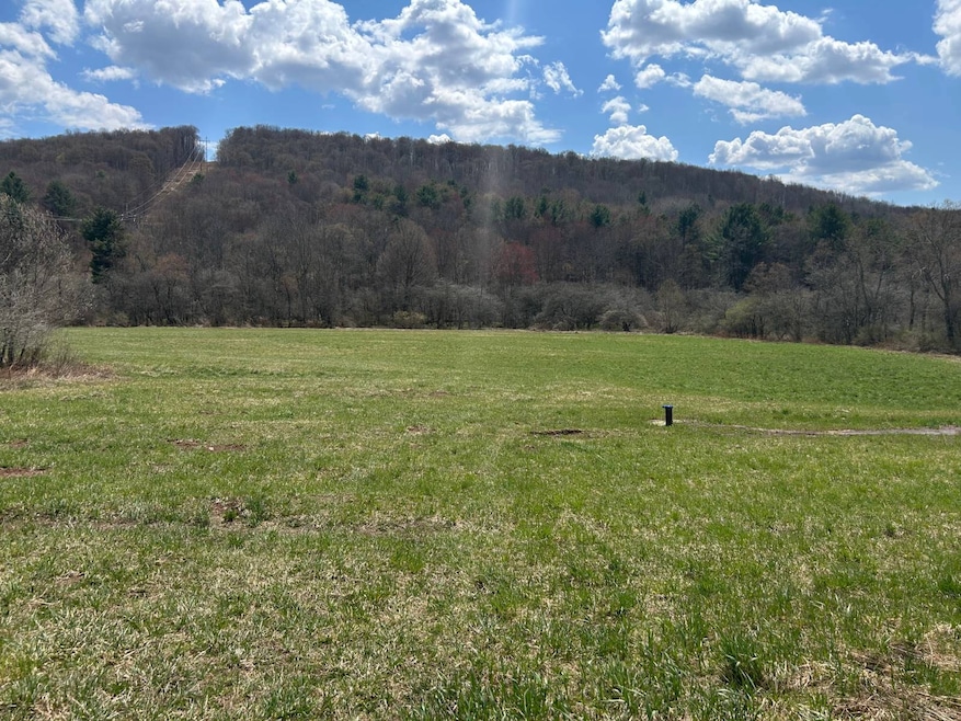 0 Houghtaling Hollow Rd unit 11452107, East Meredith, NY 13757 - photo 1