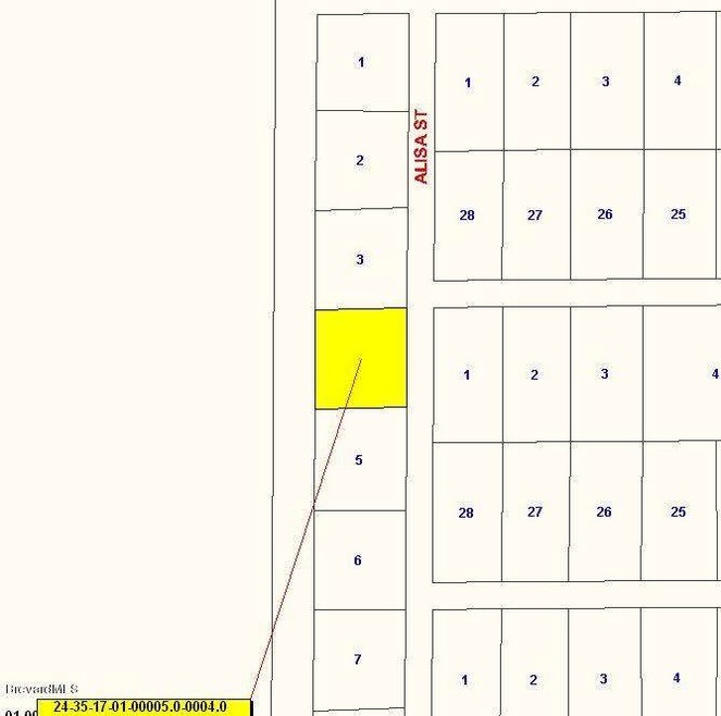 Canaveral Groves Lot