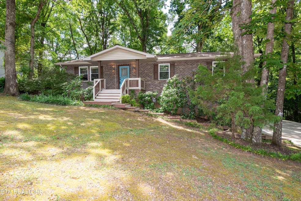 Front Yard