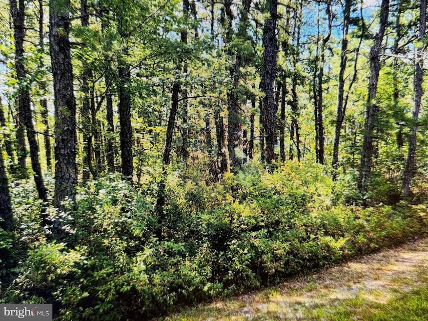 2341 7th Ave, Hammonton, NJ 08037 - photo 1