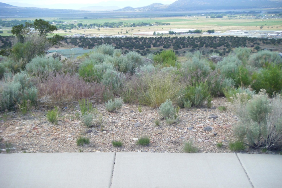 Ridgeview Loop