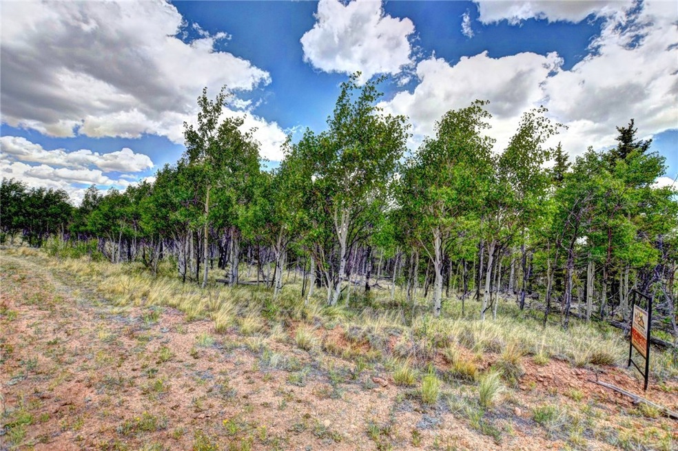 59 Pelican Place, Como, CO 80432 - photo 1