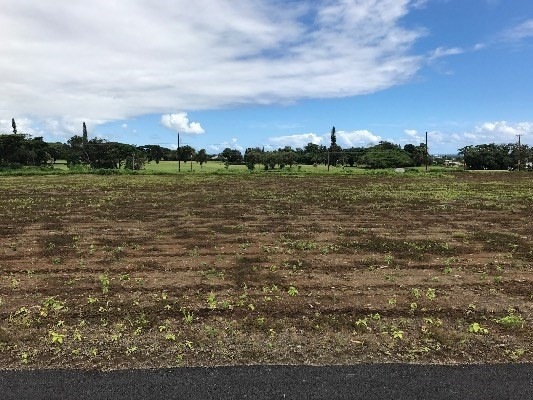 1036 Kahua Kolepa St, Hilo, HI 96720 - photo 1