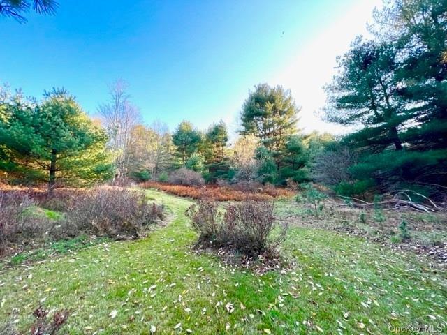 114 Hillside Rd, Highland, NY 12719 - photo 1