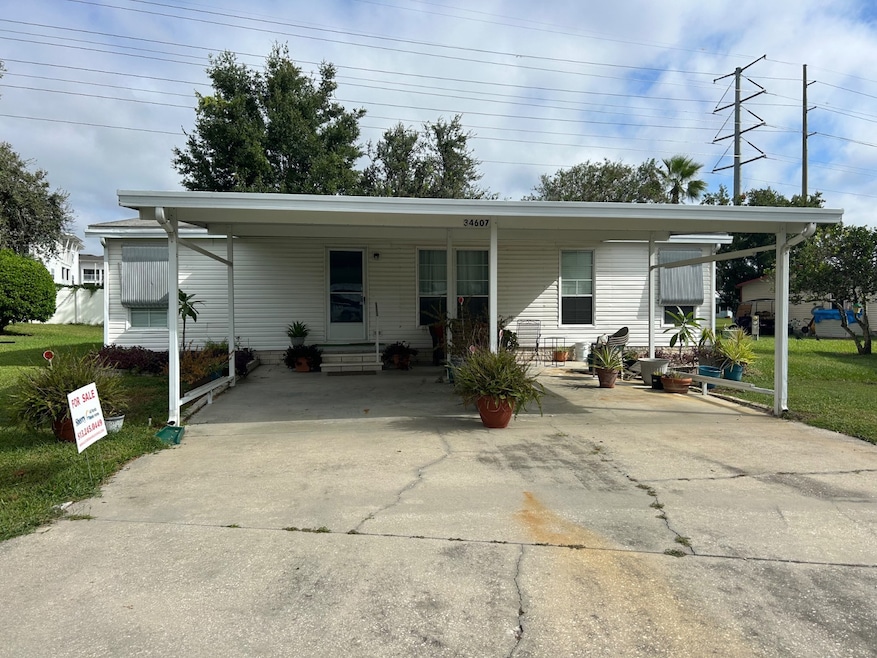 34607 Swaying Palm Dr, Zephyrhills, FL 33541 - photo 1