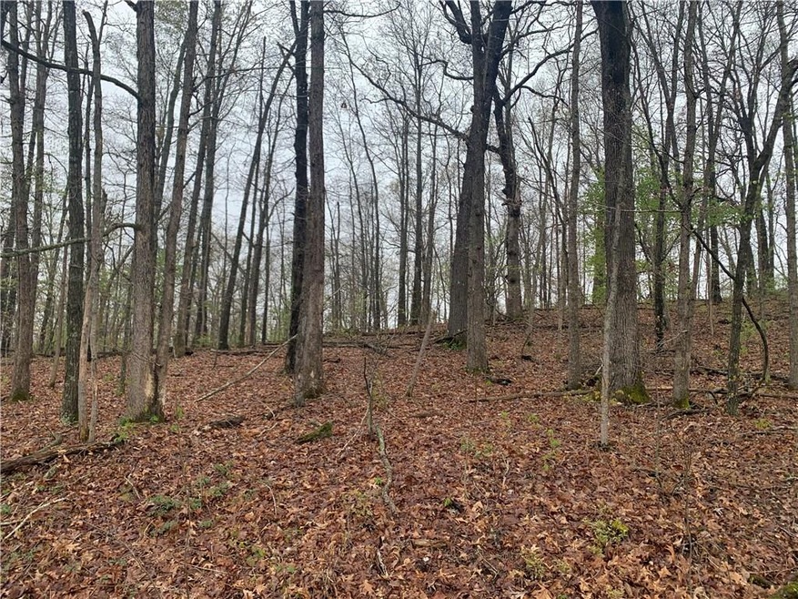 70 York Dr unit 1143993, Bella Vista, AR 72714 - photo 1