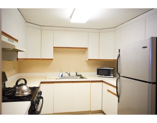 20 Rockland St unit 3, Roxbury, MA 02119 - photo 1