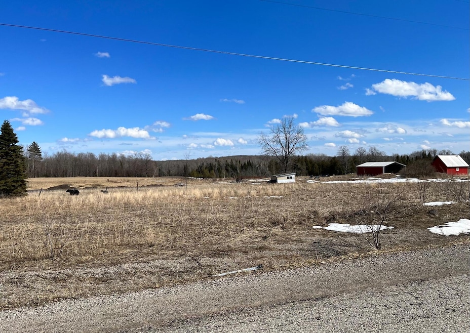 0 Afton Rd Unit 1 Acre 201823302, Afton, MI 49705 For Sale