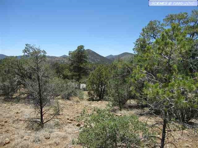 LOT 162 Swan Street @ Chimboraza Point unit Dos Griegos Phase 5, Silver City, NM 88061 - photo 1