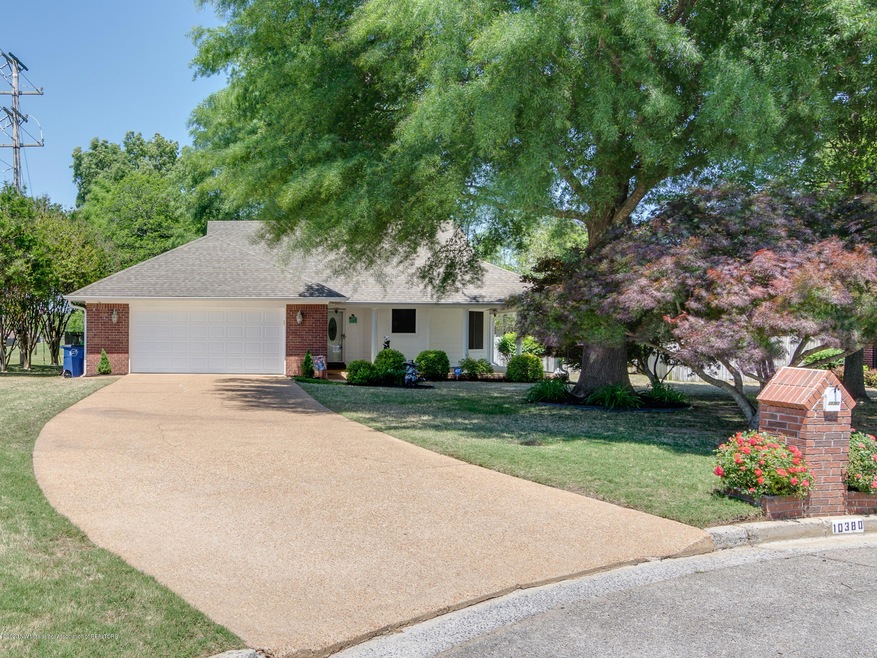 10380 Catalpa Cv.