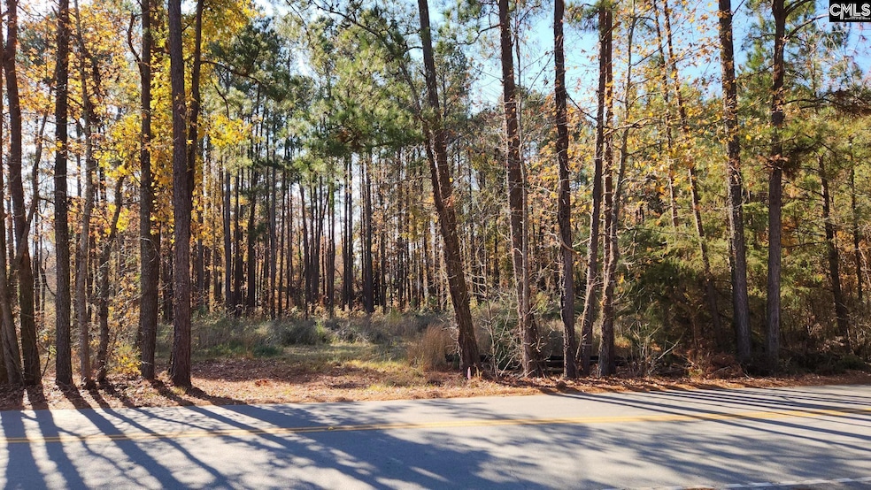 2225 Old Cherokee Rd unit LOT 3, Lexington, SC 29072 - photo 1