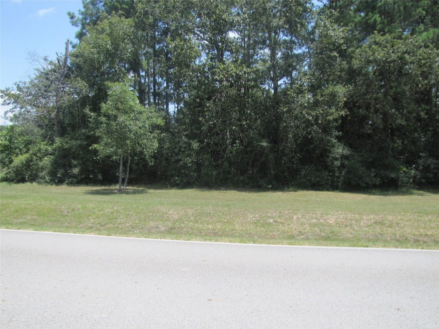 29318 Post Oak Run, Magnolia, TX 77355 - photo 1