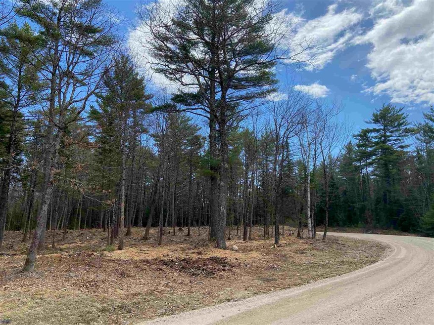#41 Winchester Ln unit Lot 41, Tuftonboro, NH 03816 - photo 1
