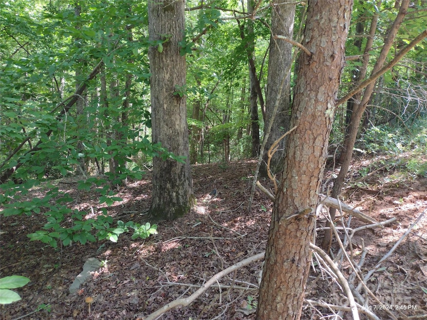 00 Shumont Estates Dr unit 50, Lake Lure, NC 28746 - photo 1