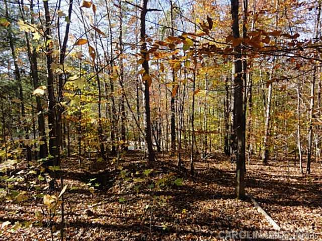 Exterior Front - Beautiful Wooded Corner Lot-Island Terrace