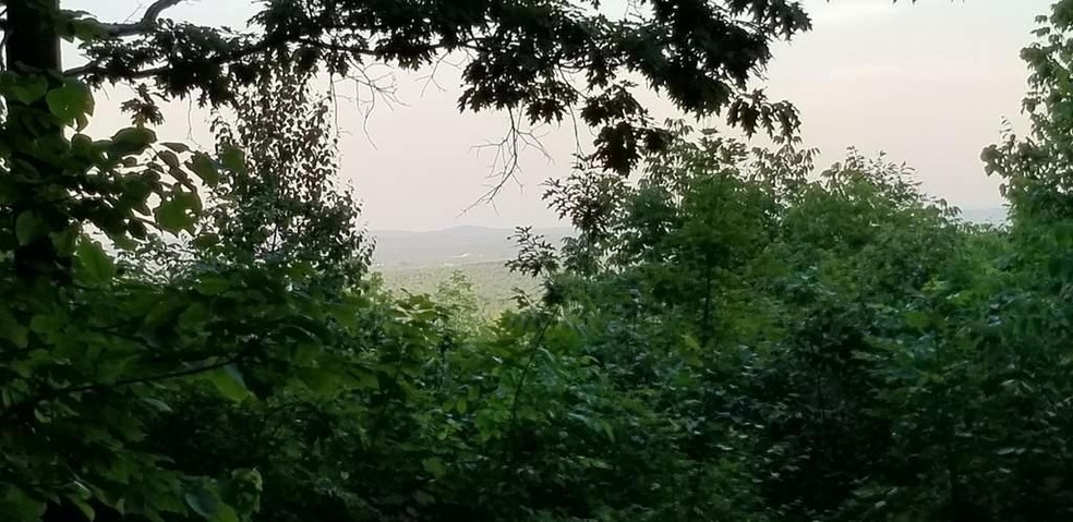 Great View with some clearing