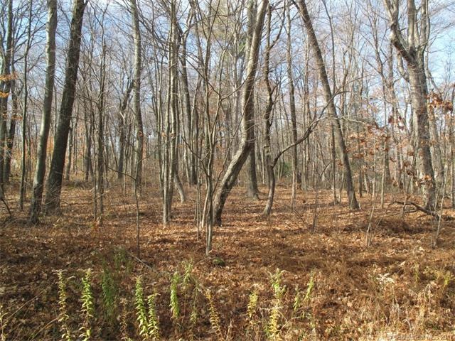 213 County Line Rd, Harwinton, CT 06791 - photo 1