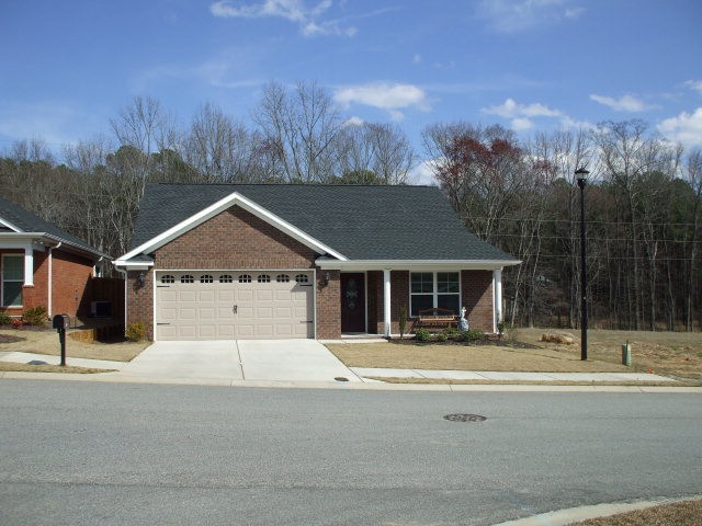 Main View