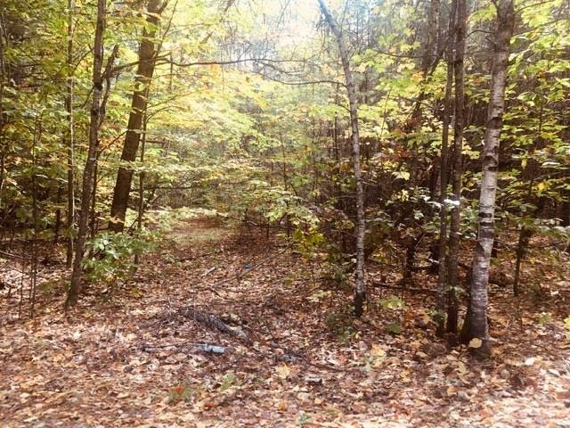 L7 Burley Park Dr, Wakefield, NH 03830 - photo 1