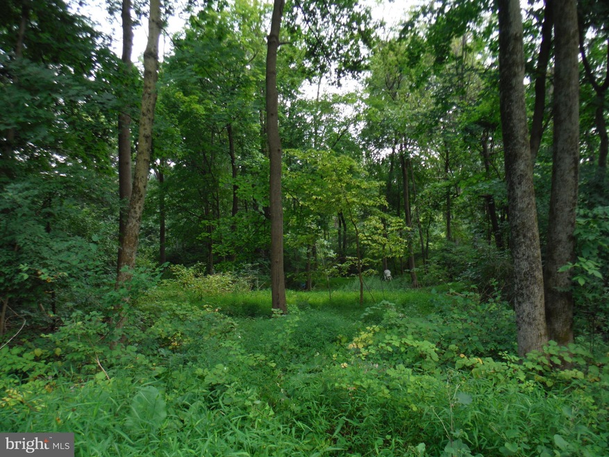 0 Girard Ave unit PABK2002826, Reading, PA 19609 - photo 1