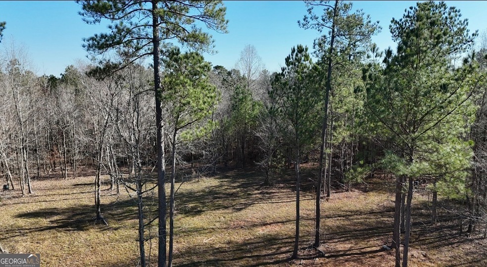 390 New Hope Vesta Rd, Carlton, GA 30627 - photo 1