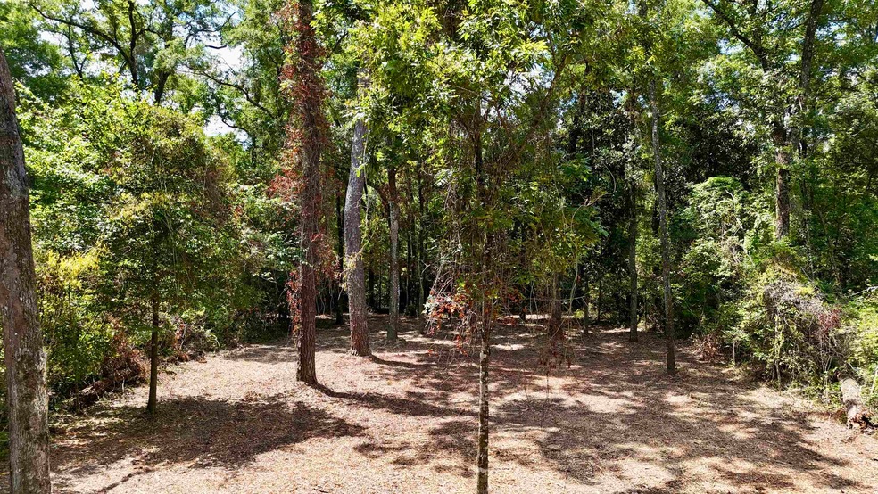 0 Palomino Rd, Crawfordville, FL 32327 - photo 1