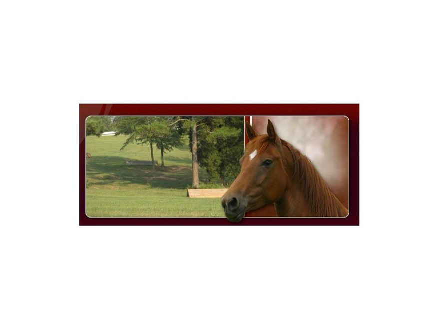 Exterior Front. This is one of those special Horse