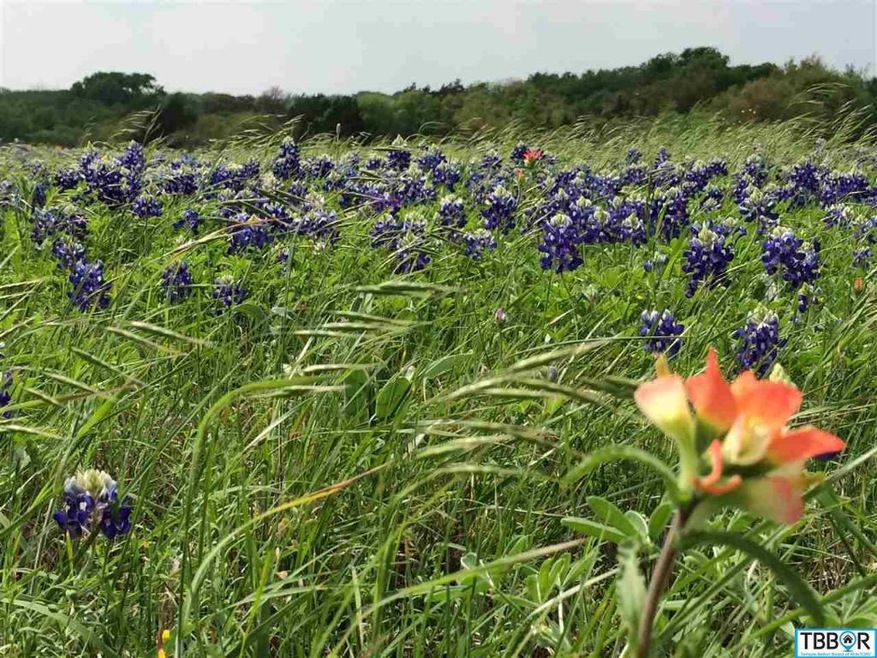 960 Old Moody Rd, Eddy, TX 76524 - photo 1