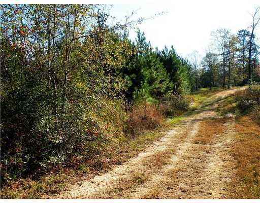 5.5 AC 5 Ac Highway 26 Hwy, Lucedale, MS 39452 - photo 1